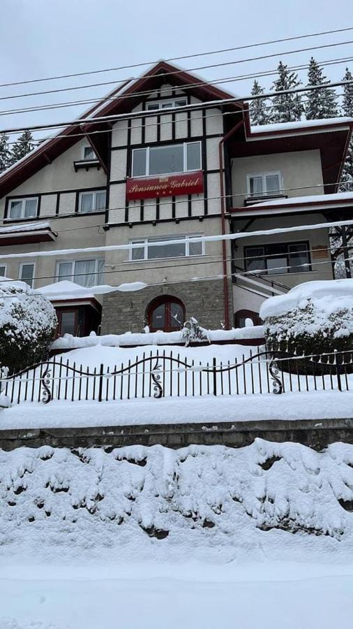 Vila Gabriel Sinaia Ngoại thất bức ảnh