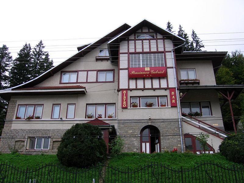 Vila Gabriel Sinaia Ngoại thất bức ảnh