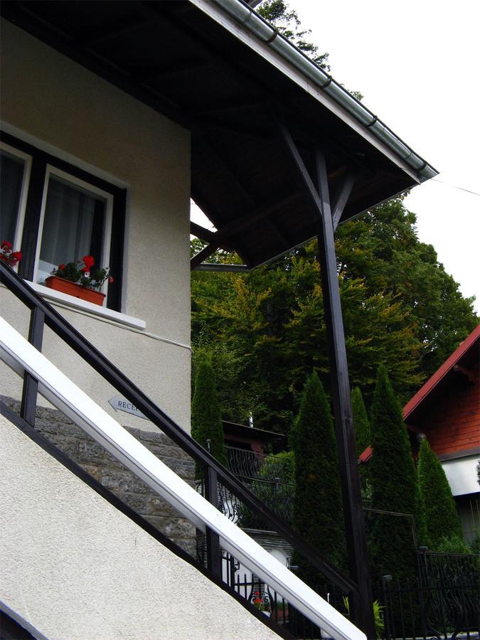 Vila Gabriel Sinaia Ngoại thất bức ảnh
